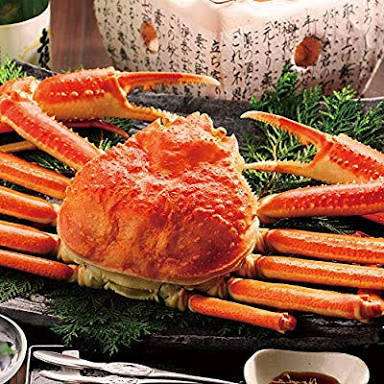 えび、エビ、海老!!