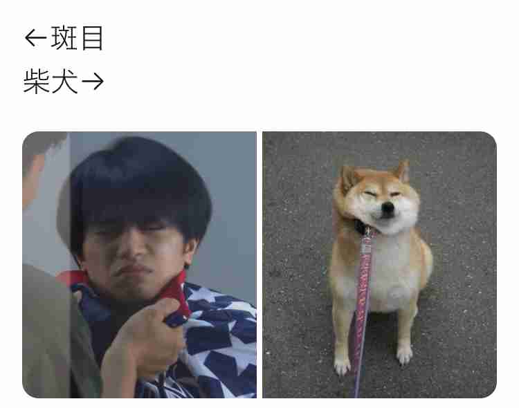 【動物に】○○顔が好き【例えると】