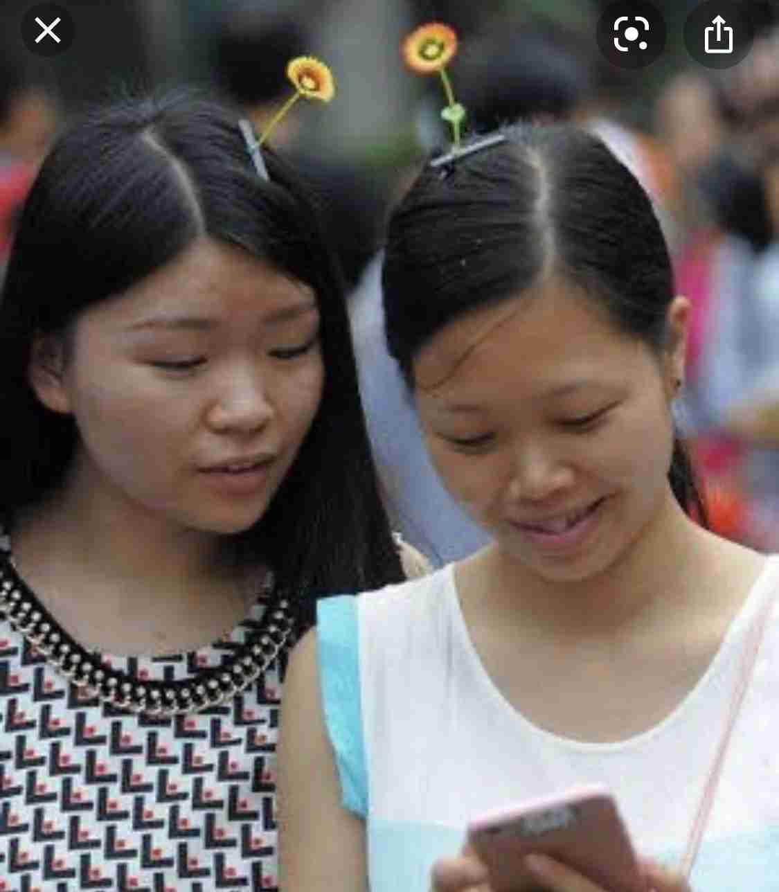 中国から米国に謎のタネ「絶対に蒔かないで」当局が警告