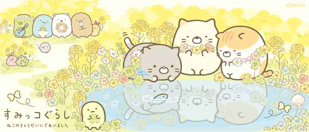 すみっコぐらし好きな人～
