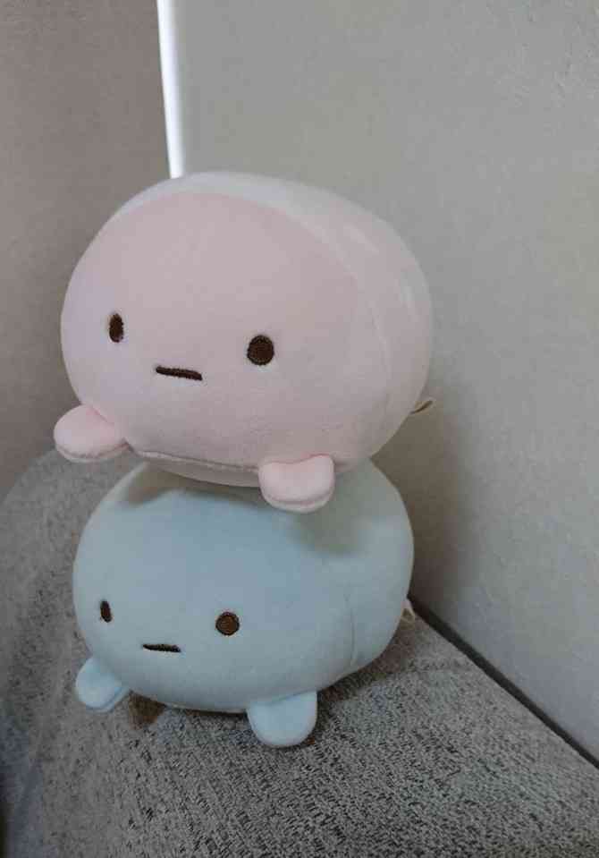 すみっコぐらし好きな人～