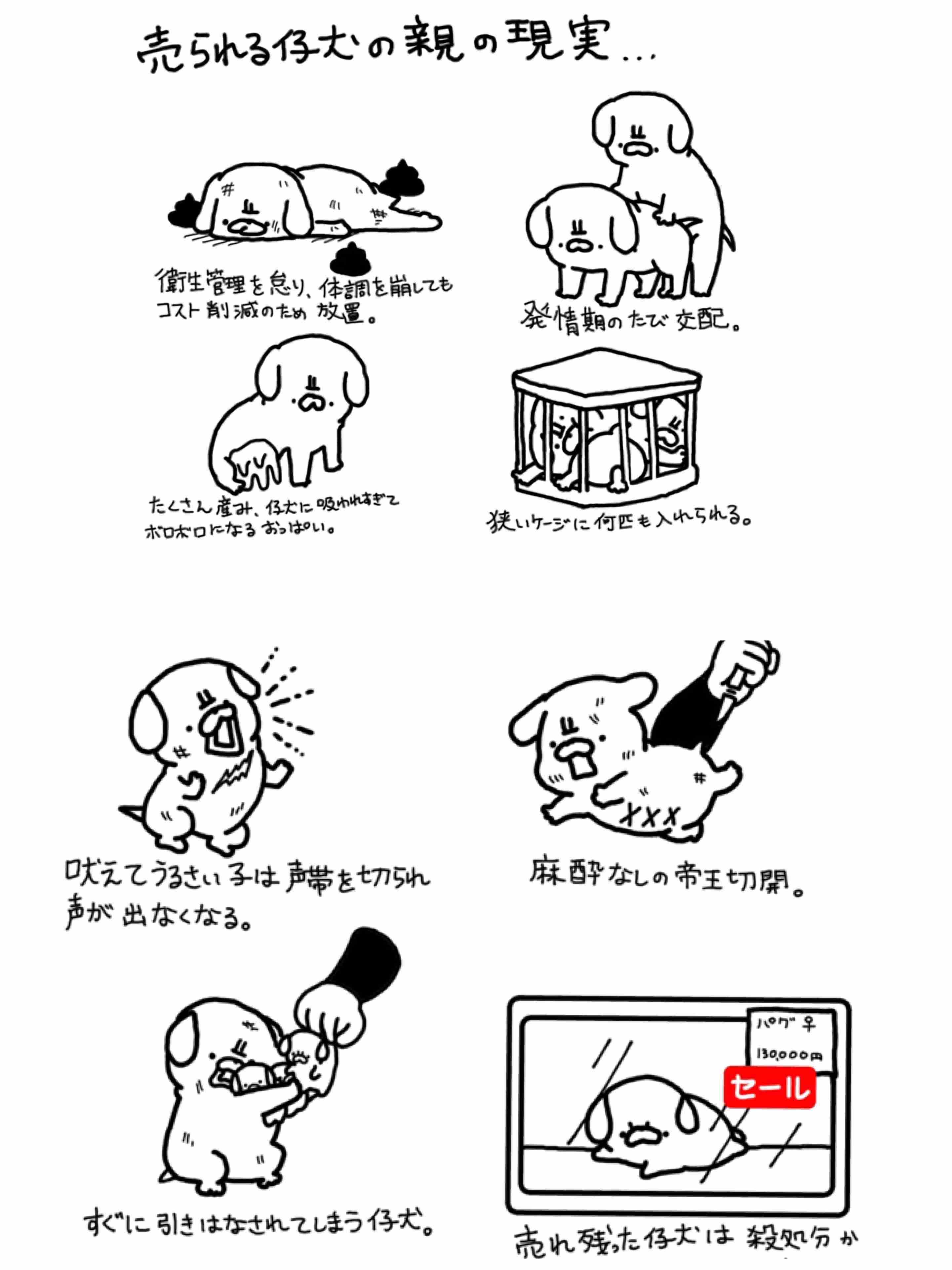 ペット臭対策