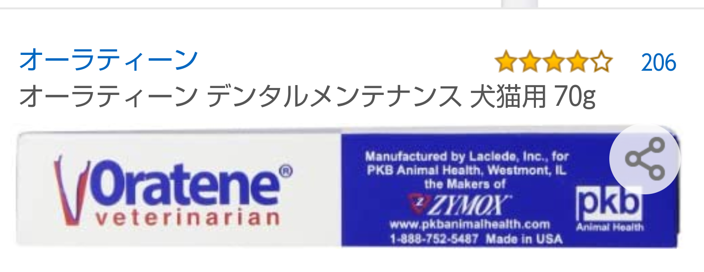 ペットの歯石除去と全身麻酔(犬・猫)