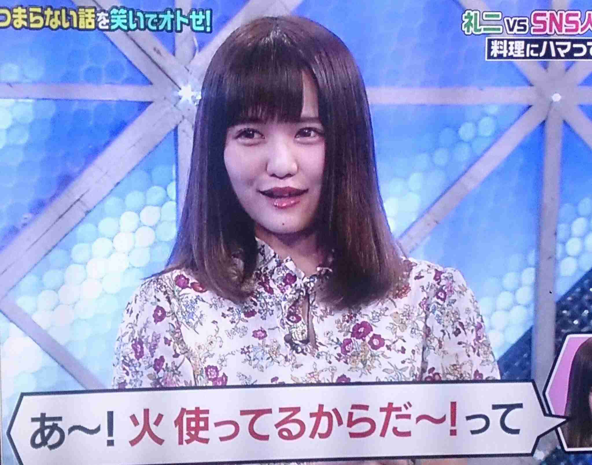 ノア たぬき 佐藤