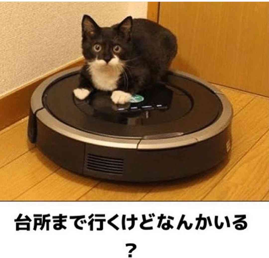 ほろ酔いガールズトークパート9