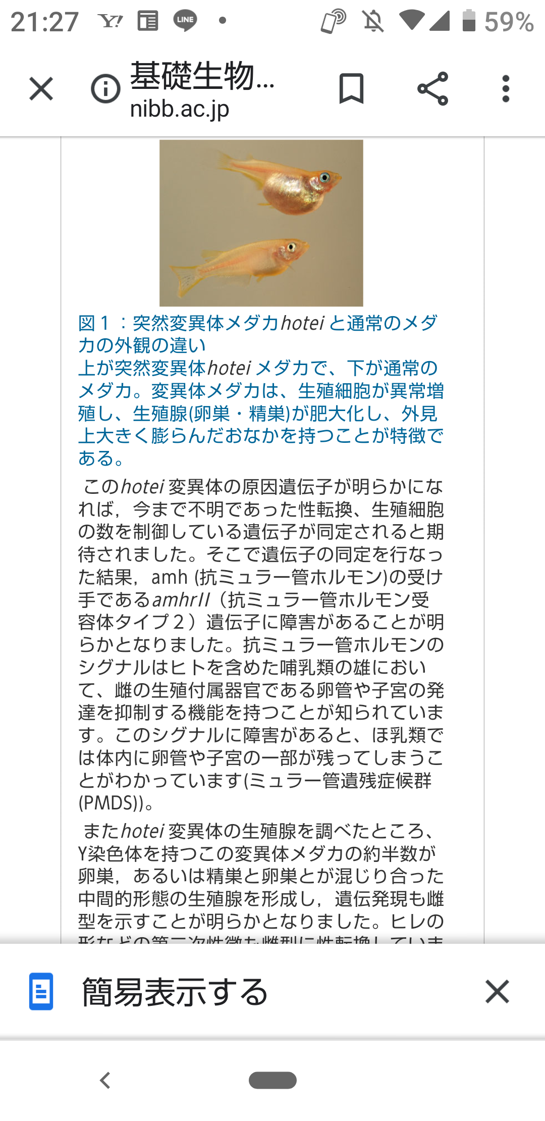 メダカ倶楽部 part 7