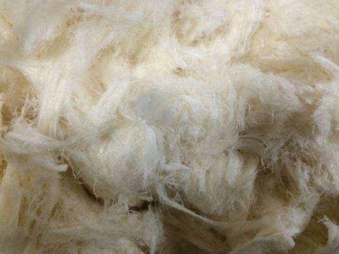 素敵な世界中のお菓子について 語りましょう