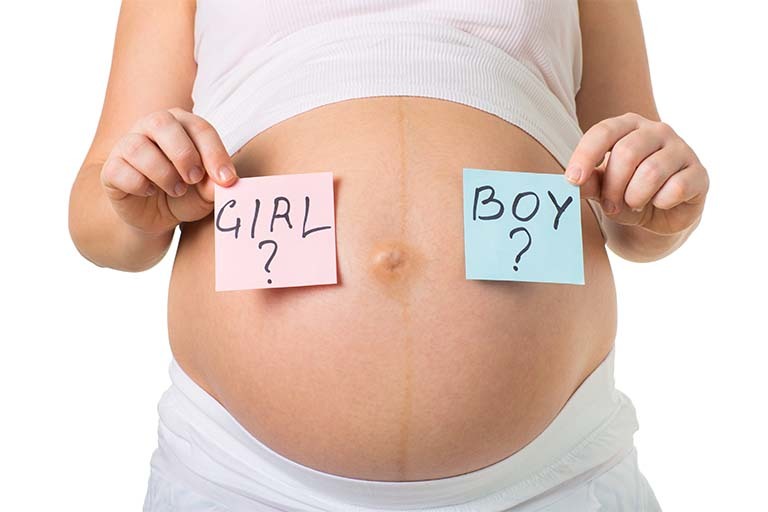 ハムスターがお腹を見せた結果→「この子マッチョ 腹筋割れてる」「シックスパック…！！」