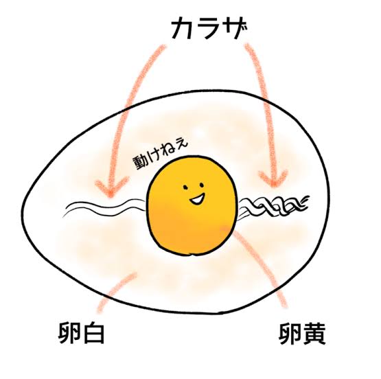 ゆで卵だけ苦手！！
