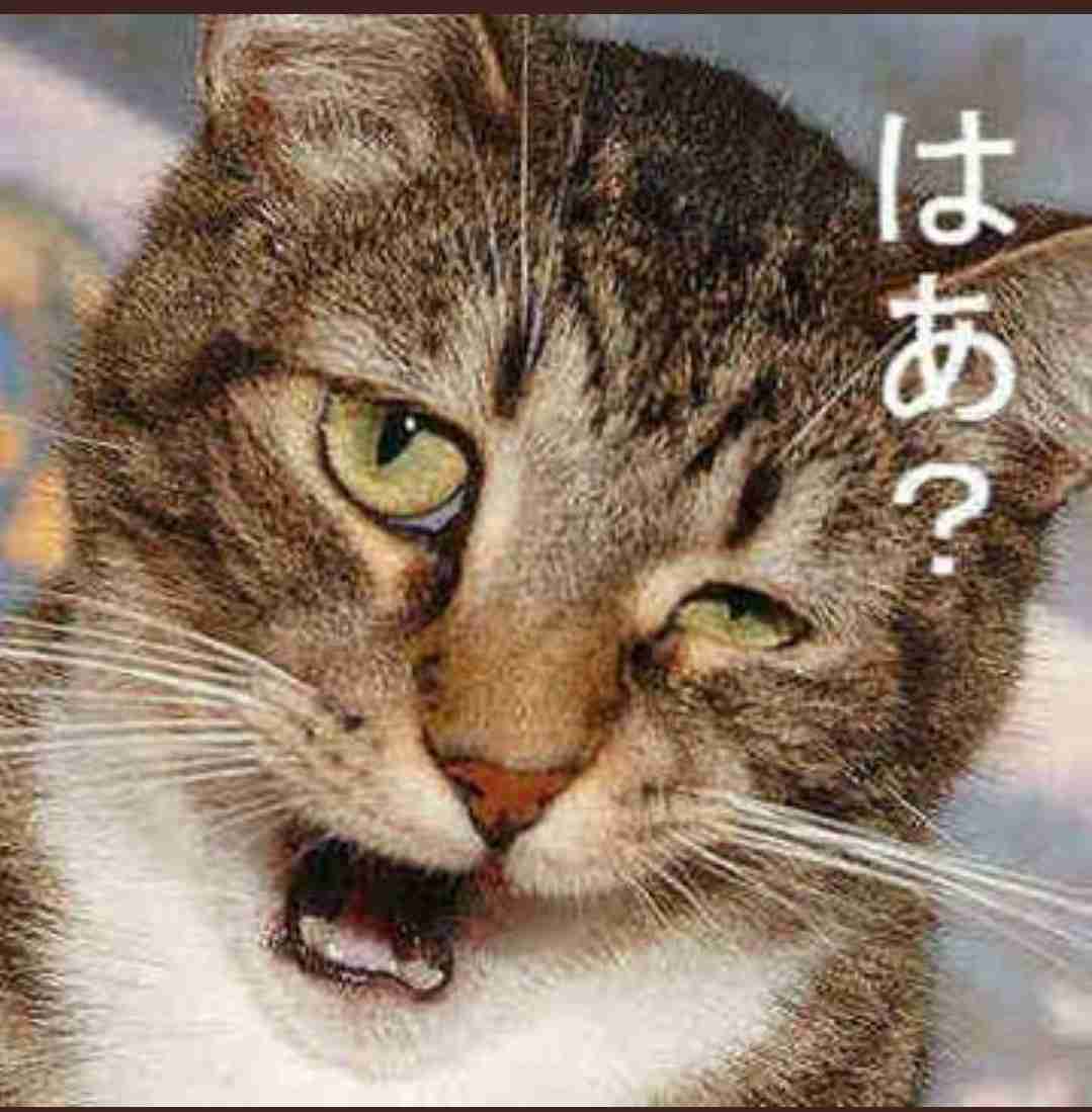 渡部建、「不正な領収書」でまさかの脱税疑惑! 事務所が出した
