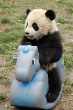 動物でパーティーを組んで魔王を倒しに行くトピpart7