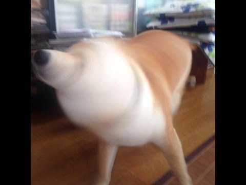 動物でパーティーを組んで魔王を倒しに行くトピpart7