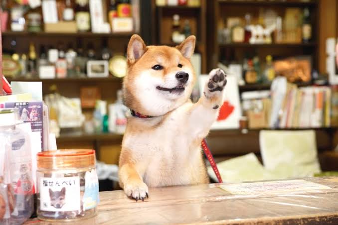 動物でパーティーを組んで魔王を倒しに行くトピpart7