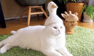 動物でパーティーを組んで魔王を倒しに行くトピpart7
