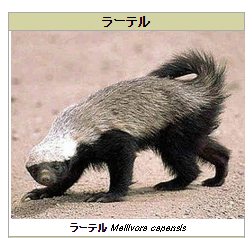 動物でパーティーを組んで魔王を倒しに行くトピpart7