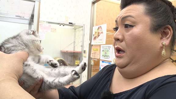 動物でパーティーを組んで魔王を倒しに行くトピpart7