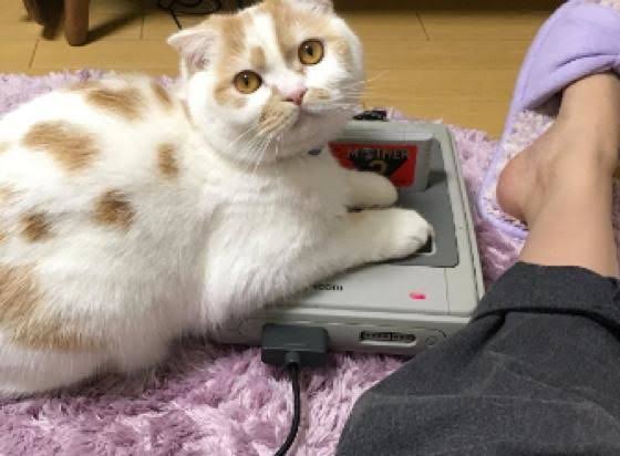 動物でパーティーを組んで魔王を倒しに行くトピpart7