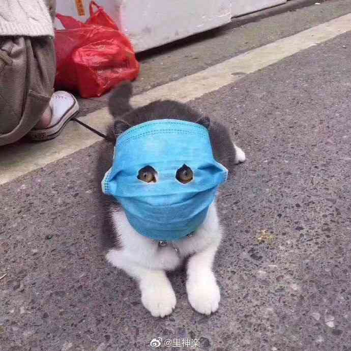 動物でパーティーを組んで魔王を倒しに行くトピpart7