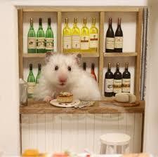 動物でパーティーを組んで魔王を倒しに行くトピpart7