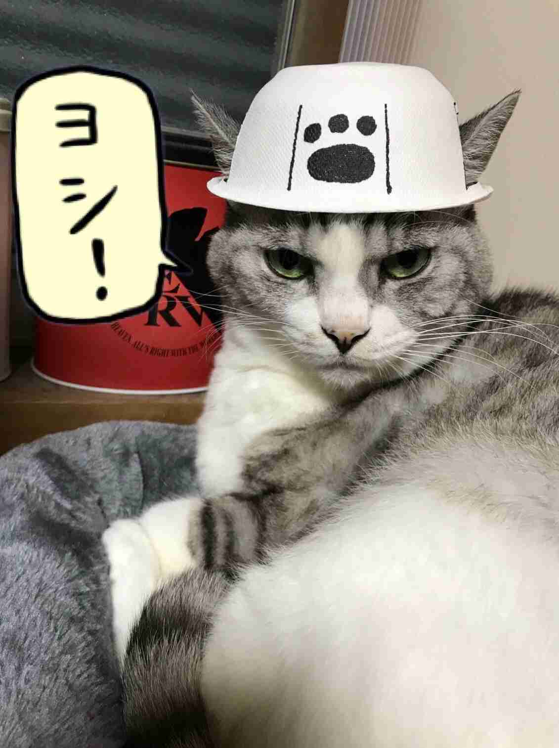 動物でパーティーを組んで魔王を倒しに行くトピpart7