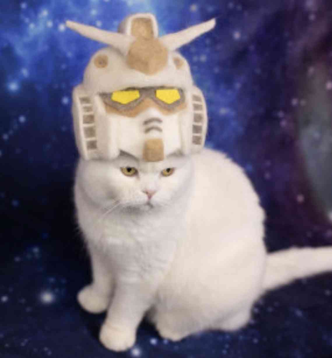 動物でパーティーを組んで魔王を倒しに行くトピpart7