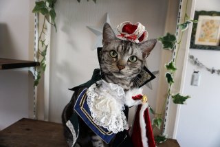 動物でパーティーを組んで魔王を倒しに行くトピpart7