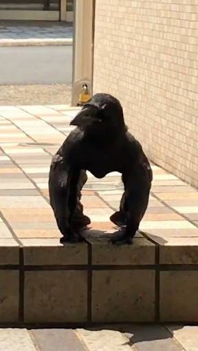 動物でパーティーを組んで魔王を倒しに行くトピpart7