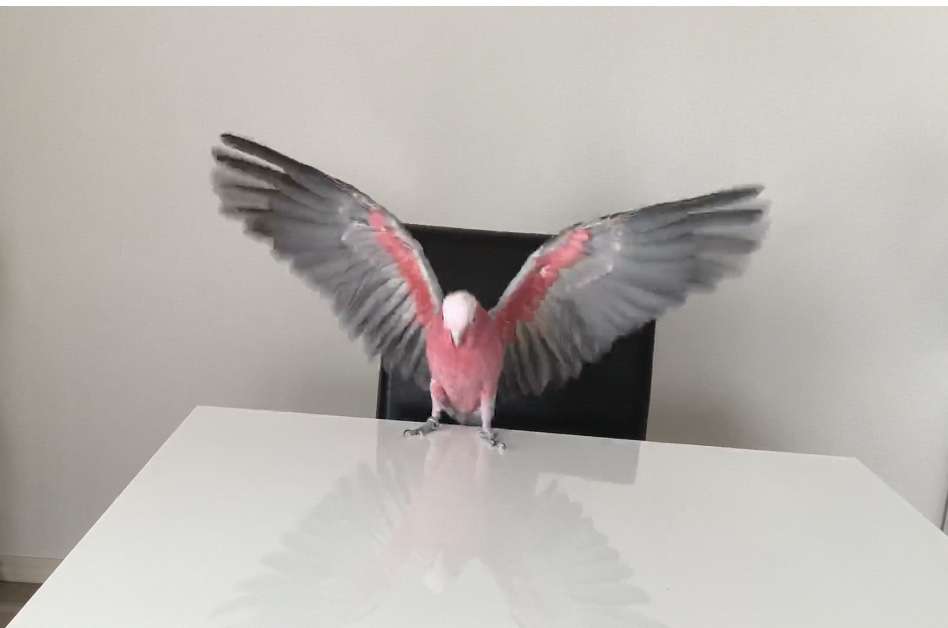 動物でパーティーを組んで魔王を倒しに行くトピpart7
