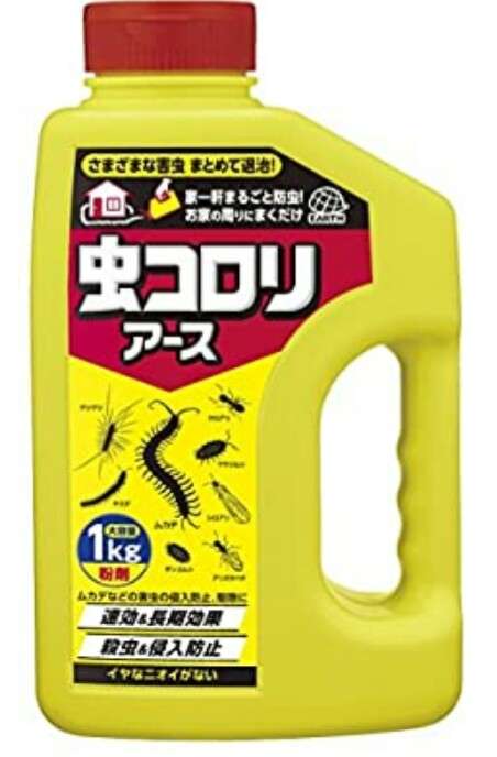 ゴキブリにまつわるあの噂　「1匹見つけたら100匹いる」は本当？