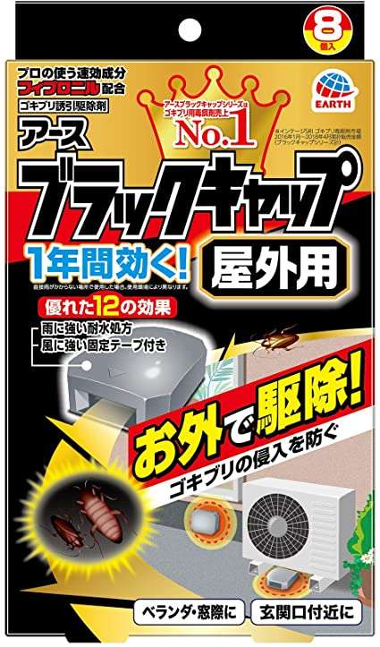 ゴキブリにまつわるあの噂　「1匹見つけたら100匹いる」は本当？