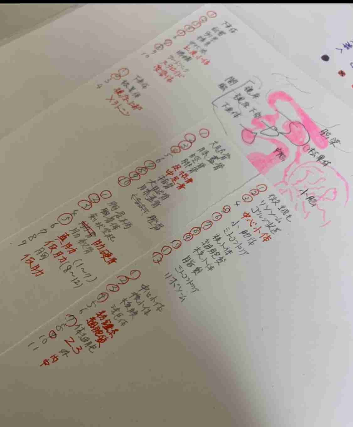 ガル民の手書きの字が見たい!Part2