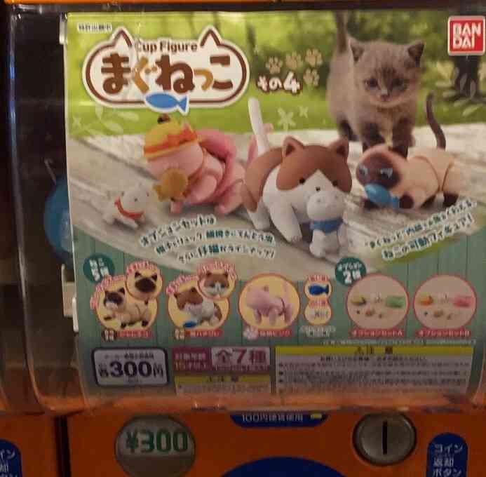 最近回したガチャガチャpart5