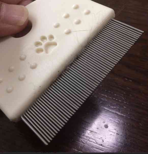 【犬猫】長毛種のお手入れ【毛玉】