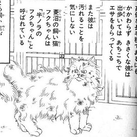【犬猫】長毛種のお手入れ【毛玉】