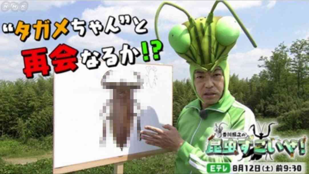 【虫注意】 “タガメシロップ”かき氷が話題「夏といえば、タガメ」