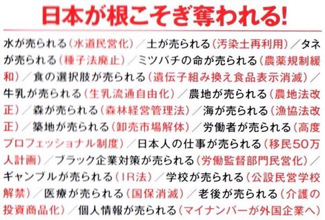 小泉進次郎氏、柴咲コウ　国立公園でリモート勤務を