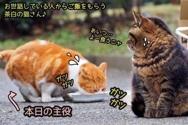 家族構成と食費を書くだけのトピ📝