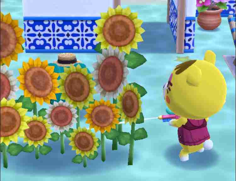 [ポケ森] どうぶつの森 ポケットキャンプ [part32]