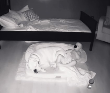 ベッドで寝ているはずの赤ちゃんが毎朝ワンコの横に。不思議に思い監視カメラで撮影すると…