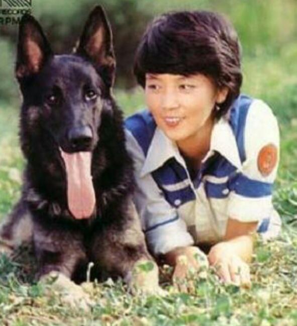 子供の頃大好きだったテレビ番組