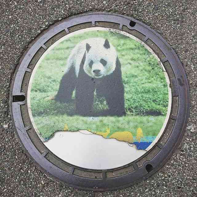 日本各地、様々なマンホールを貼るトピ♪