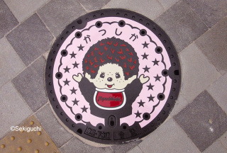 日本各地、様々なマンホールを貼るトピ♪