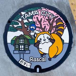 日本各地、様々なマンホールを貼るトピ♪