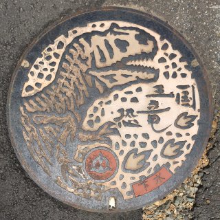 日本各地、様々なマンホールを貼るトピ♪
