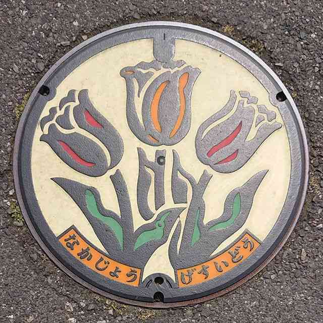 日本各地、様々なマンホールを貼るトピ♪