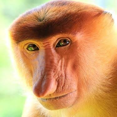 みんなのお父さんは有名人の誰に似てますか?