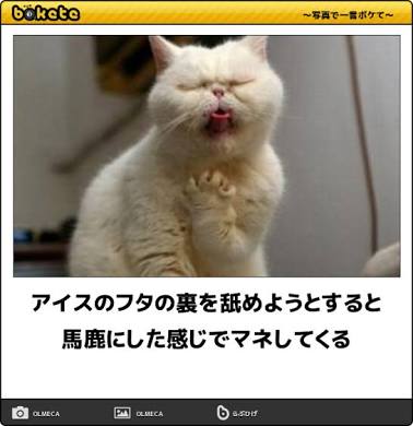 【衝撃】カップアイスのふた、舐めずに捨ててしまう人間が4割もいることが判明