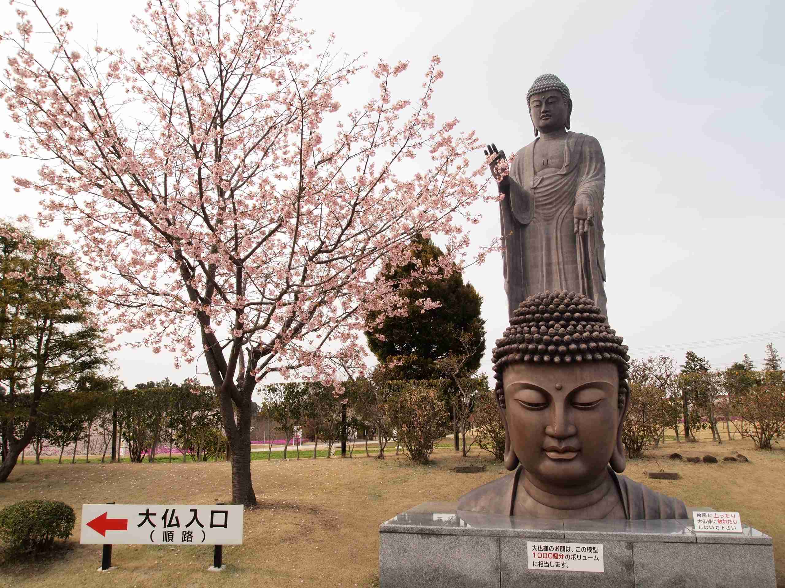 【閲覧注意】奇界遺産、巨像について語ろう！part.2