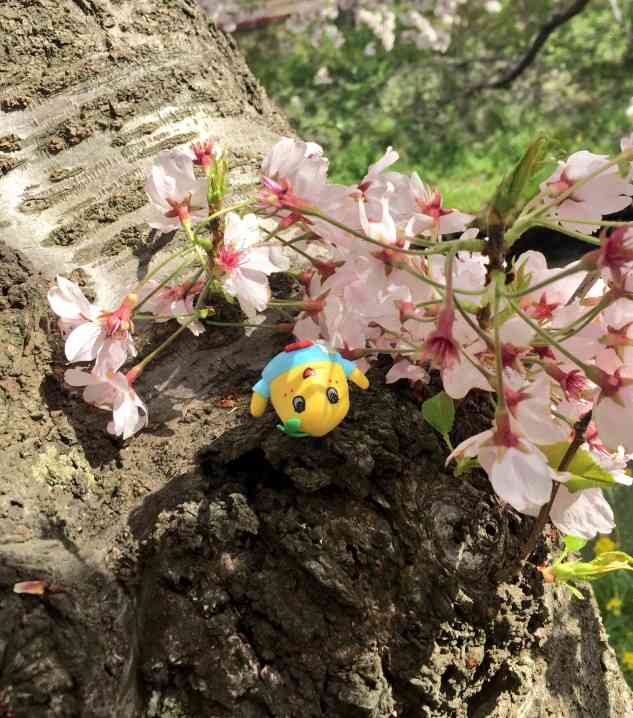 お気に入りのご当地ナンバープレートを語る会