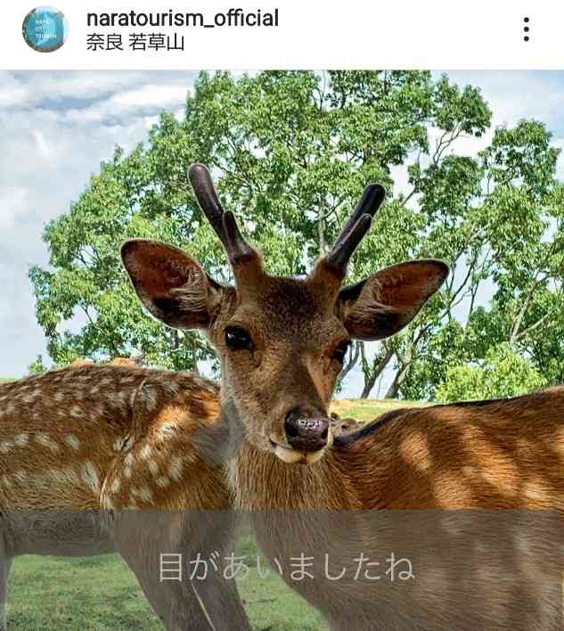 お気に入りのご当地ナンバープレートを語る会